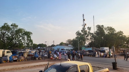 Grenzkontrollen zwischen Gambia und Senegal